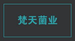 食品行业新余冲锋衣设计款式